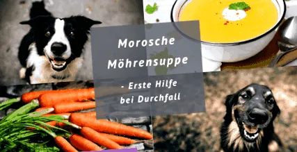 supă