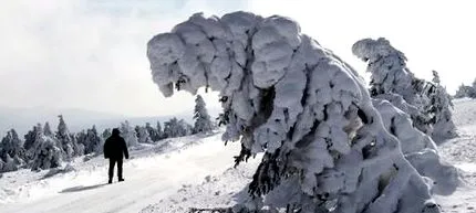 минус