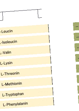 létfontosságú