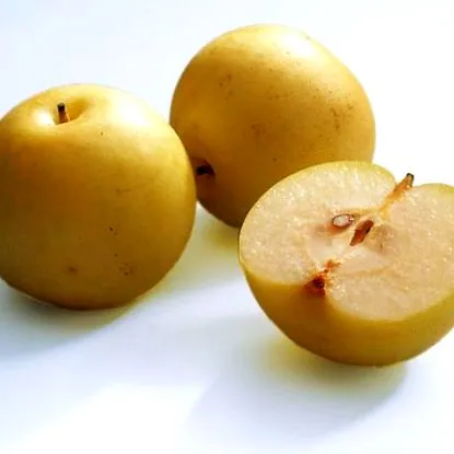 Nashi körte
