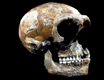 neandervölgyiek