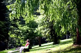 tartózkodása heidelberg-königstuhl