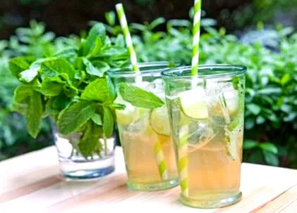 mojito