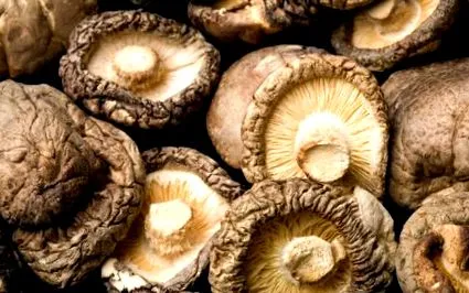 ciuperci