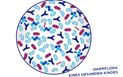 postbiotikumok