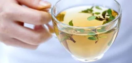 tippek