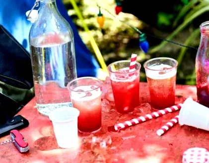 rapidă raspberry