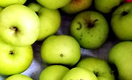 zöld