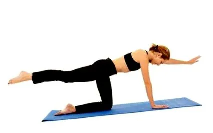 exerciții