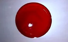 biológia