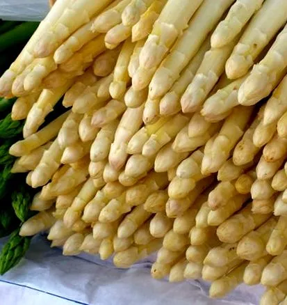 kiszolgálására