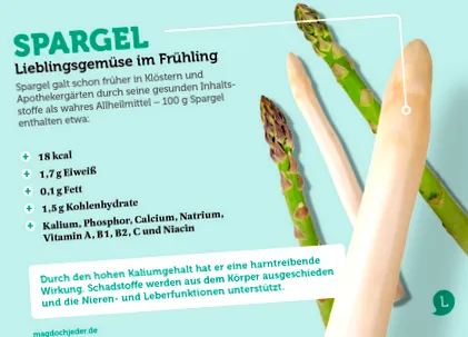 sparanghel