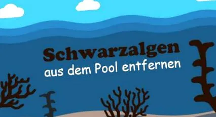 piscină