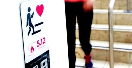 fitnesz