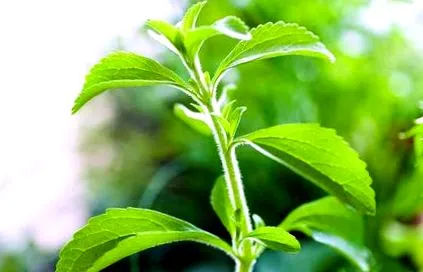 nutritive