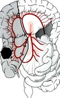 köre