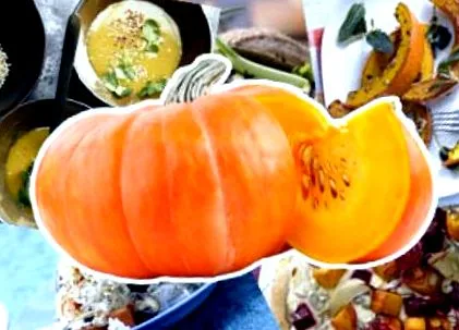 vegán receptek
