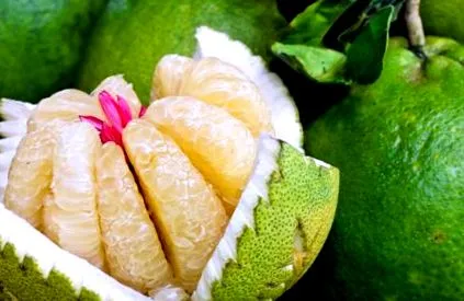 pomelo