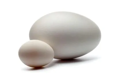 este