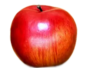 rendesen