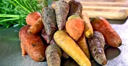 corectă rădăcină