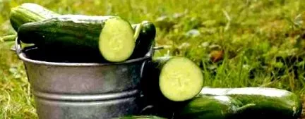 прекрасен