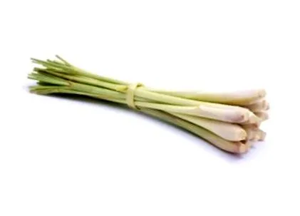 lămâie despre