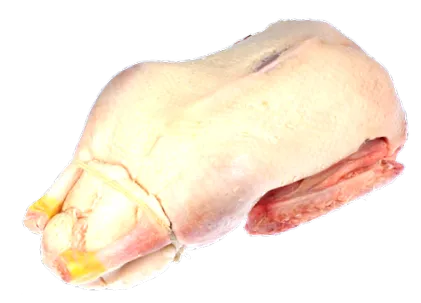 rață