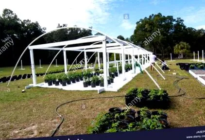 florida