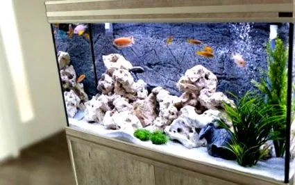 zooplus