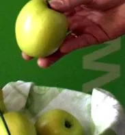 egészséget elősegítő