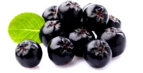 chokeberry