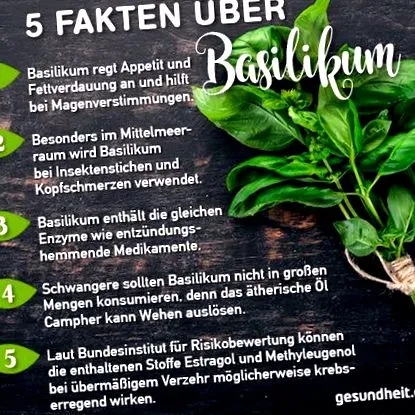basil