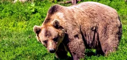 gyakorlatok