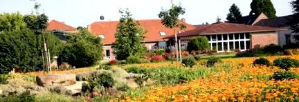 ayurvedică