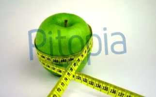 pitopia