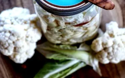 conopida fermentată