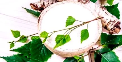 nyírfacukor