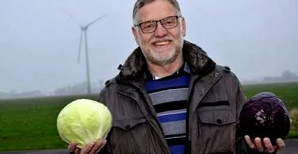 dithmarscher