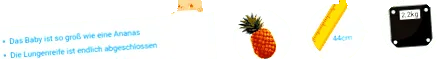 tüdő