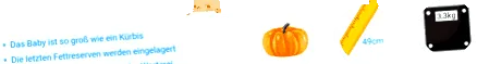 mikor