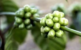tesztjelentés