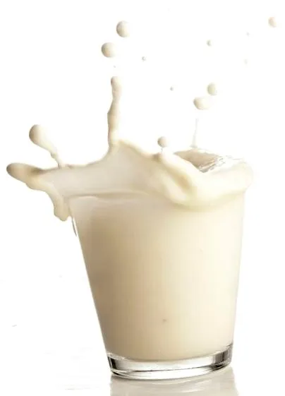 glosar