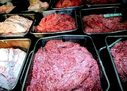 animalul vinovată