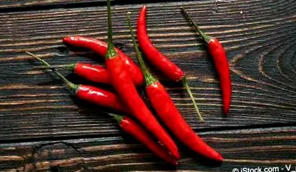 frutescens