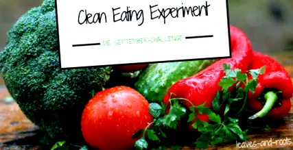 experiment