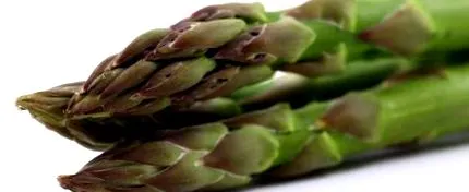 asparagus asparagus