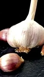 pácolt