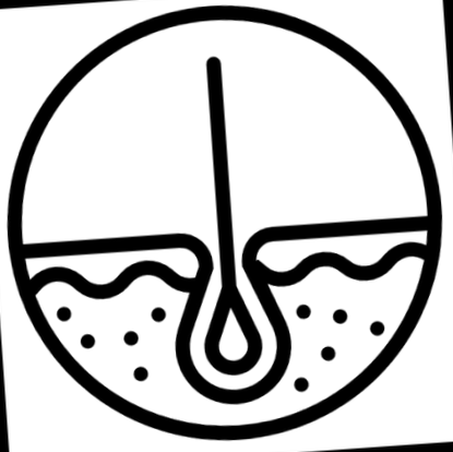 fenghi