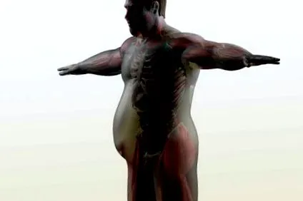 тегло